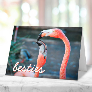 Pink Flamingo Birds Foto Besties Script Stilvoll Karte