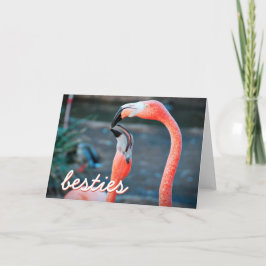 Pink Flamingo Birds Foto Besties Script Stilvoll Karte