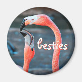 Pink Flamingo Birds Foto Besties Script Stilvoll Magnet (Vorne)