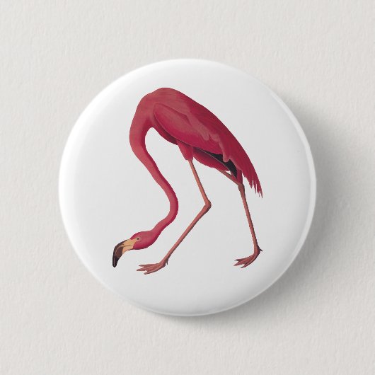 Pink Flamingo Button (Vorderseite)
