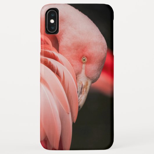 Pink Flamingo Case-Mate iPhone Hülle (Rückseite)