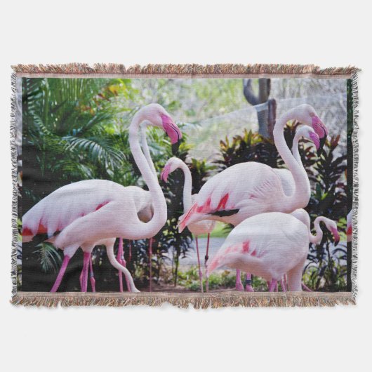 Pink Flamingo Decke (Vorderseite)