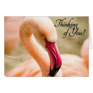 Pink Flamingo Denken Sie an Sie Leere im Inneren