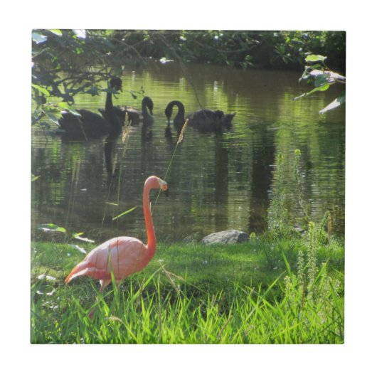 Pink Flamingo Fliese (Vorderseite)
