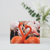 Pink Flamingo Flock Liebe Herzlich Willkommen bei Postkarte (Stehend Vorderseite)