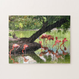 Pink Flamingo Flock Wildlife Foto Puzzle