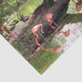 Pink Flamingo Flock Wildlife Foto Seidenpapier (Ausschnitt)