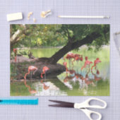 Pink Flamingo Flock Wildlife Foto Seidenpapier (Handwerk)