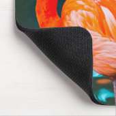 Pink Flamingo Foto wagt es, ein anderes Skript zu Mousepad (Ecke)