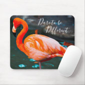 Pink Flamingo Foto wagt es, ein anderes Skript zu Mousepad (Mit Mouse)