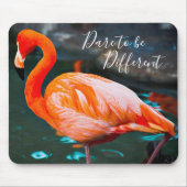 Pink Flamingo Foto wagt es, ein anderes Skript zu Mousepad (Vorne)