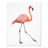 Pink Flamingo Fotodruck (Vorne)
