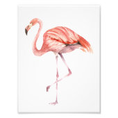 Pink Flamingo Fotodruck (Vorne)