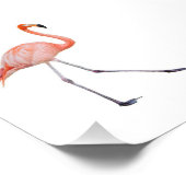 Pink Flamingo Fotodruck (Ecke)