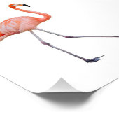 Pink Flamingo Fotodruck (Ecke)