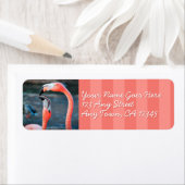 Pink Flamingo Friends Foto benutzerdefinierte Skri (Insitu)