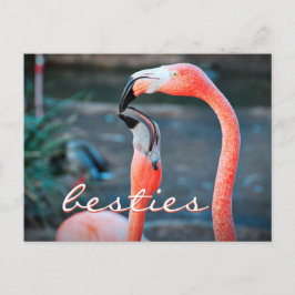 Pink Flamingo Friends Foto Besties Stilvolle Schri Postkarte