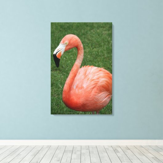 Pink Flamingo Leinwanddruck (Insitu (Holzboden))