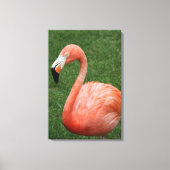 Pink Flamingo Leinwanddruck (Vorderseite)