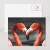 Pink Flamingo Liebe Postcard Postkarte (Vorne/Hinten)