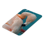 Pink Flamingo Magnet (Linke Seite)