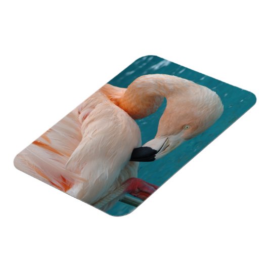 Pink Flamingo Magnet (Linke Seite)