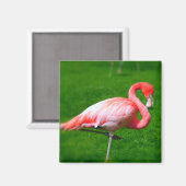 Pink Flamingo Magnet (Vorderseite/Rückseite)
