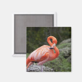 Pink Flamingo Magnet (Vorderseite/Rückseite)