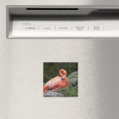 Pink Flamingo Magnet (In Situ (Geschirrspüler))