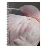 Pink Flamingo-Notebook Notizblock (Vorderseite)