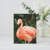 Pink Flamingo Postcard Postkarte (Stehend Vorderseite)