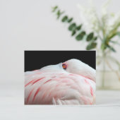 Pink Flamingo Postcard Postkarte (Stehend Vorderseite)