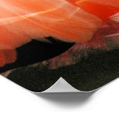 Pink Flamingo Poster (Ecke)