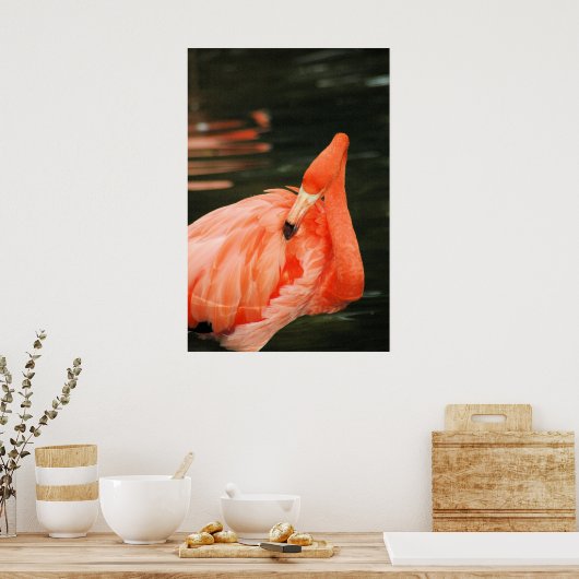 Pink Flamingo Poster (Küche)