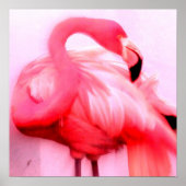 Pink Flamingo Poster (Vorne)