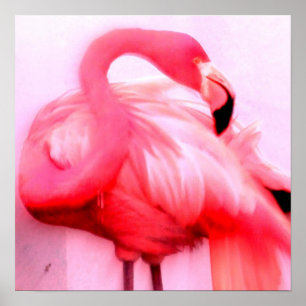 Pink Flamingo Poster