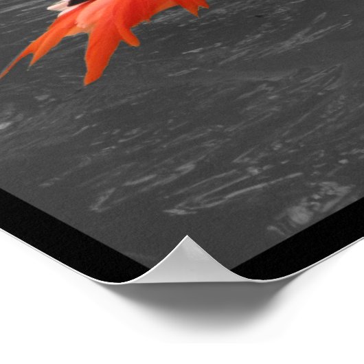 Pink Flamingo Poster (Ecke)