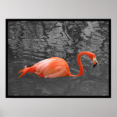 Pink Flamingo Poster (Vorne)