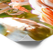 Pink Flamingo Poster (Ecke)