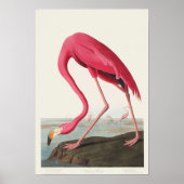 Pink Flamingo Poster (Vorne)