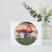 Pink Flamingo Postkarte (Stehend Vorderseite)