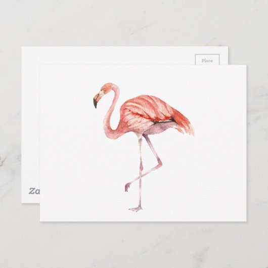 Pink Flamingo Postkarte (Vorne/Hinten)