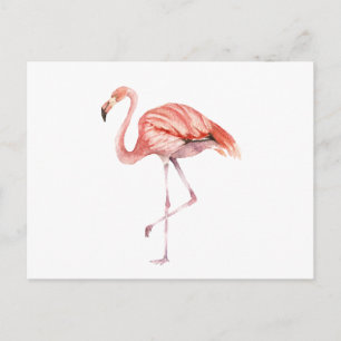 Pink Flamingo Postkarte
