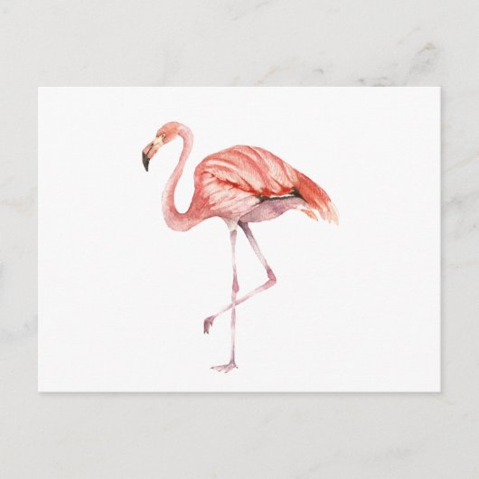 Pink Flamingo Postkarte (Vorderseite)