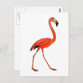 Pink Flamingo Postkarte (Vorne/Hinten)