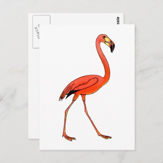 Pink Flamingo Postkarte (Vorne/Hinten)