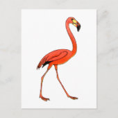 Pink Flamingo Postkarte (Vorderseite)