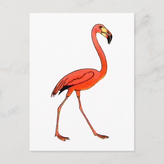 Pink Flamingo Postkarte (Vorderseite)