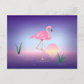 Pink Flamingo Postkarte (Vorderseite)