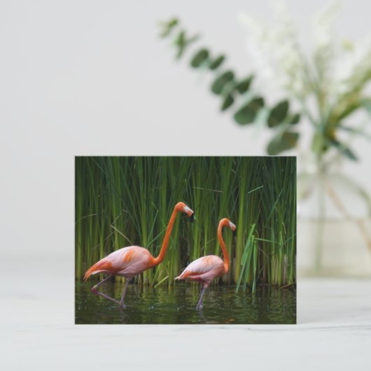 PINK FLAMINGO POSTKARTE (Stehend Vorderseite)
